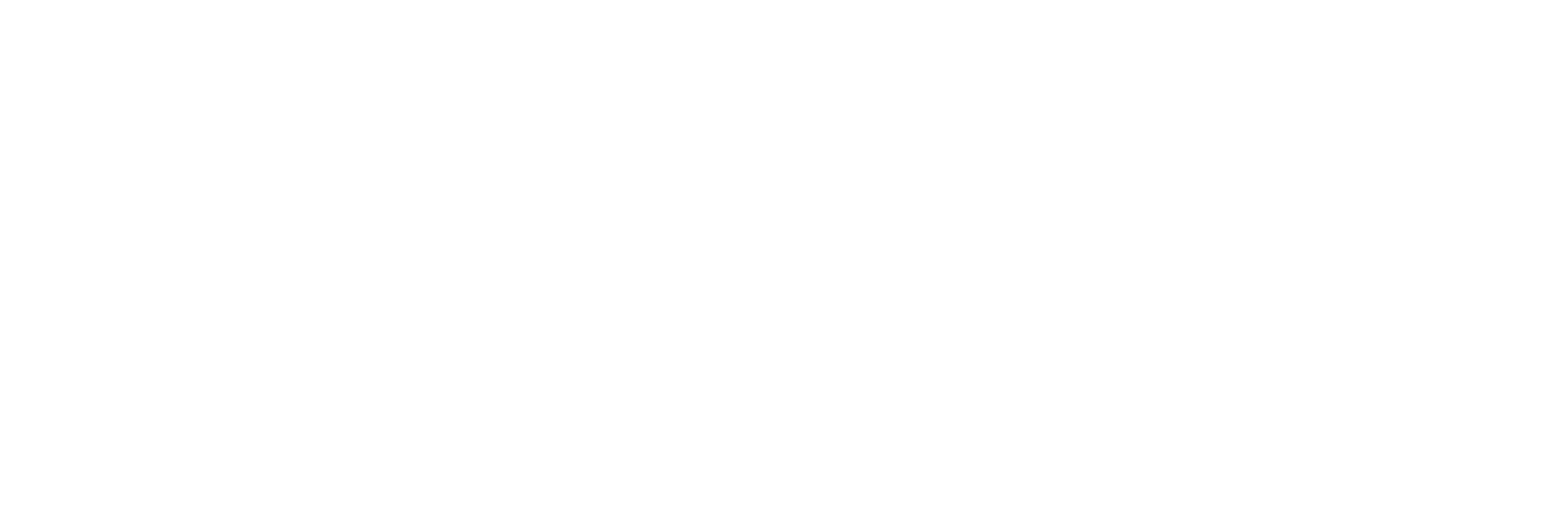 CarN'Sculpt